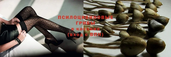 не бодяженный Горно-Алтайск