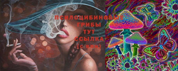 Альфа ПВП Горнозаводск