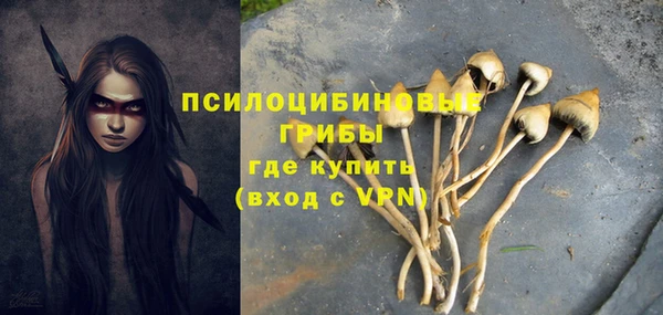 не бодяженный Горно-Алтайск