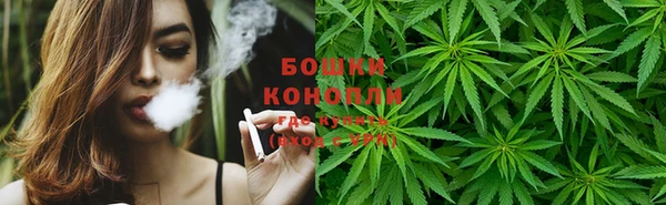 не бодяженный Горно-Алтайск