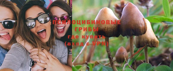 не бодяженный Горно-Алтайск