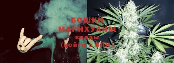 не бодяженный Горно-Алтайск